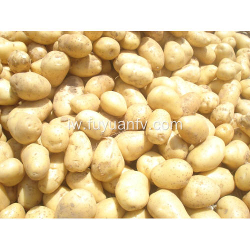 תפוחי אדמה באיכות גבוהה tengzhou
